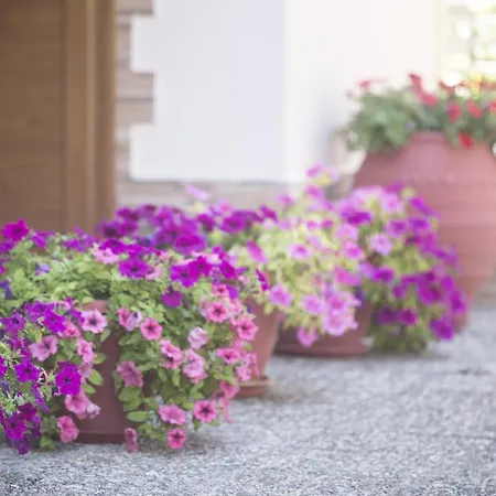 Vergina 2* Неа-Потидеа